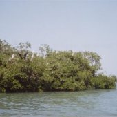  Monkey River, Belize